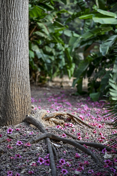 104-270724_Z3L1344MaxAquilaphoto.thumb.jpg.bf98f0861e8bff1556a940fe7229fa9b.jpg