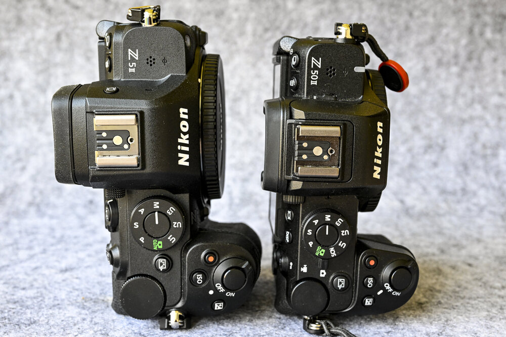 315 - 220425 _Z9X3594  Max Aquila photo.jpg