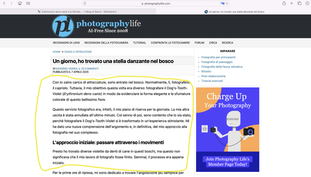 Schermata2025-04-16alle10_16_57.thumb.png.58fa0bba3e51ae75861bd4419144d6fb.png