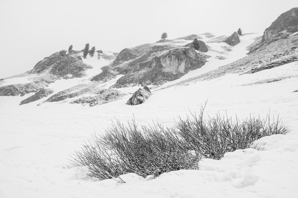 _DSC8368 copia.jpg