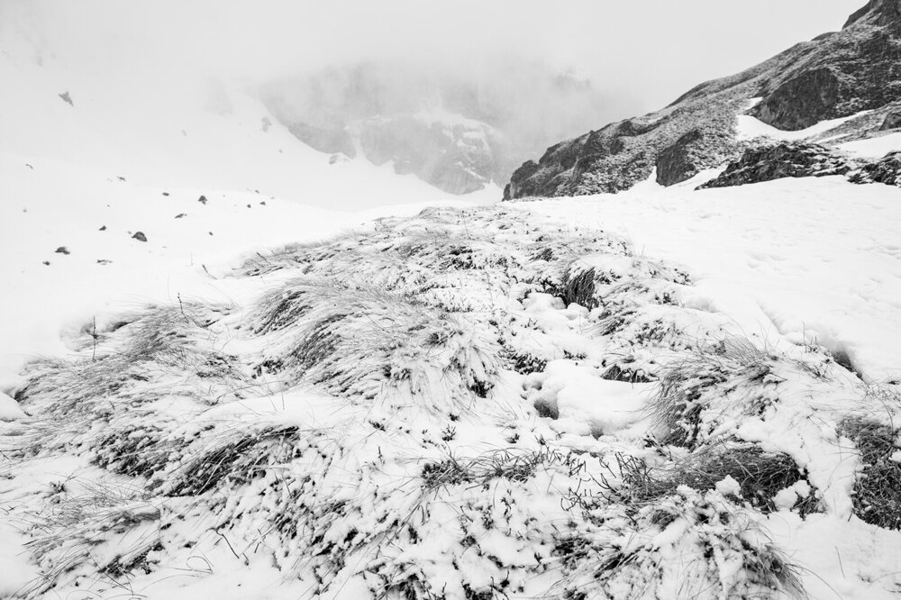 _DSC8371 copia.jpg