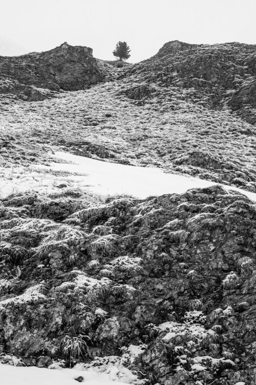 _DSC8375 copia.jpg