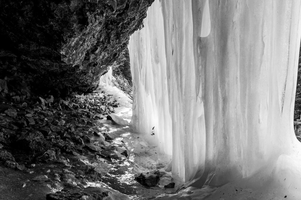 _DSC8406 copia.jpg