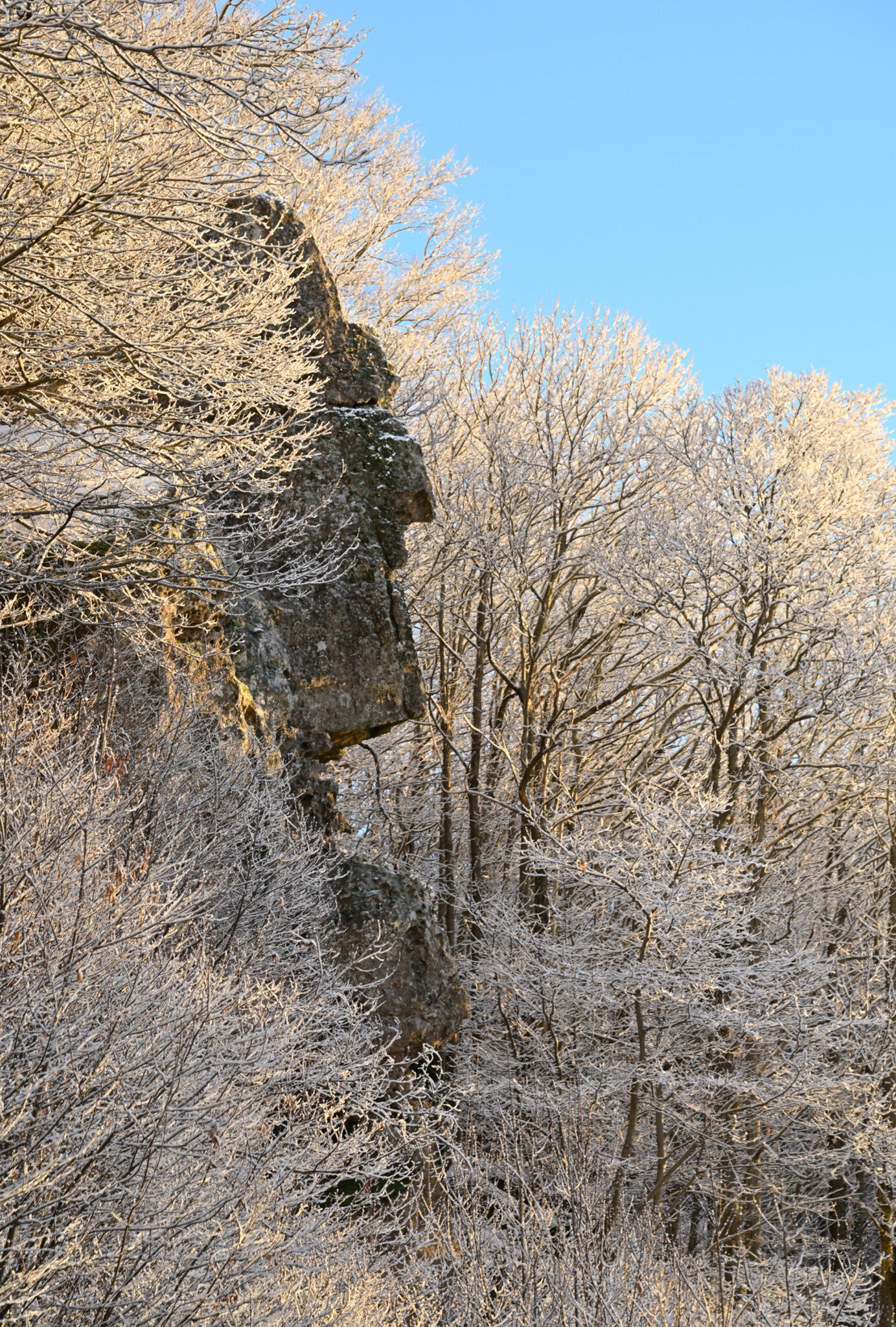 il Sasso di Dante...
