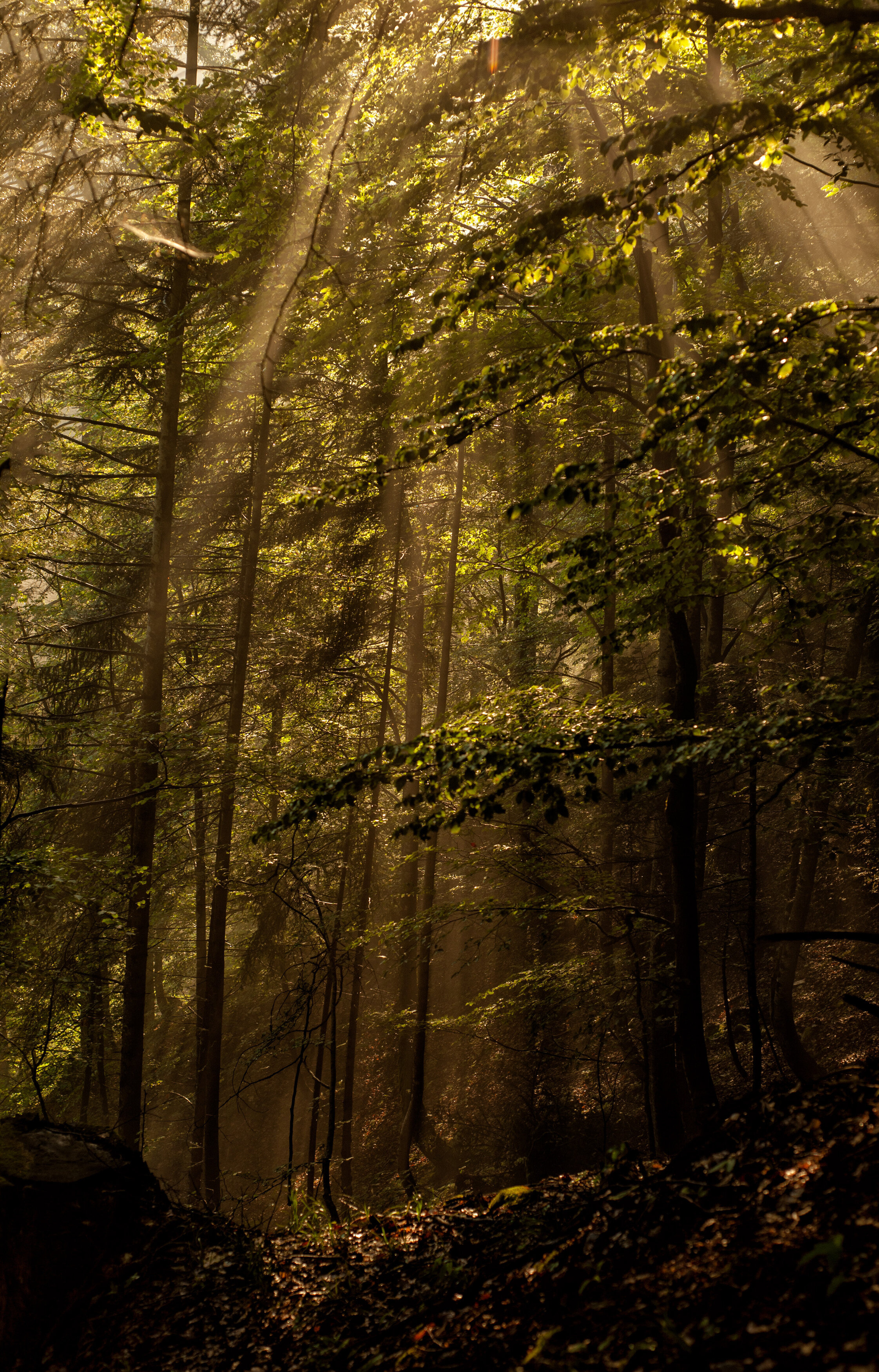 Una cascata di luce