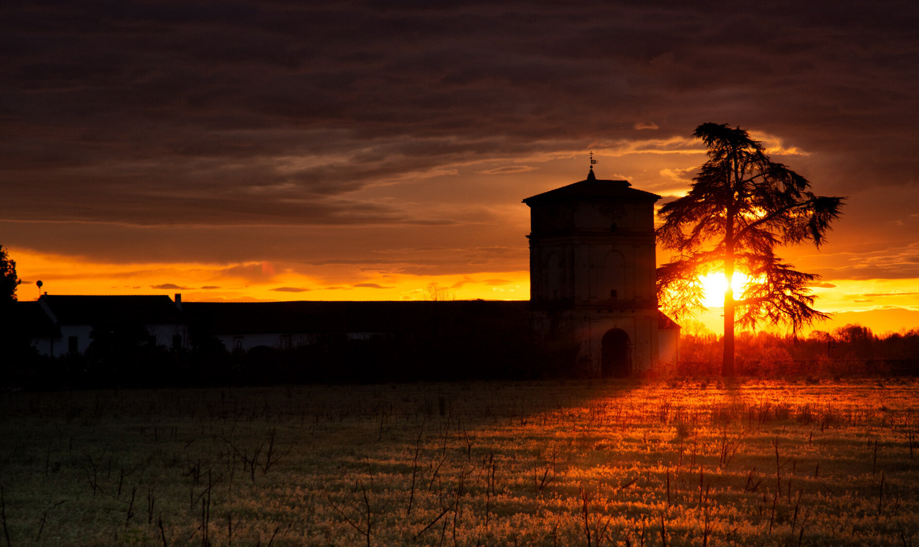 Luce