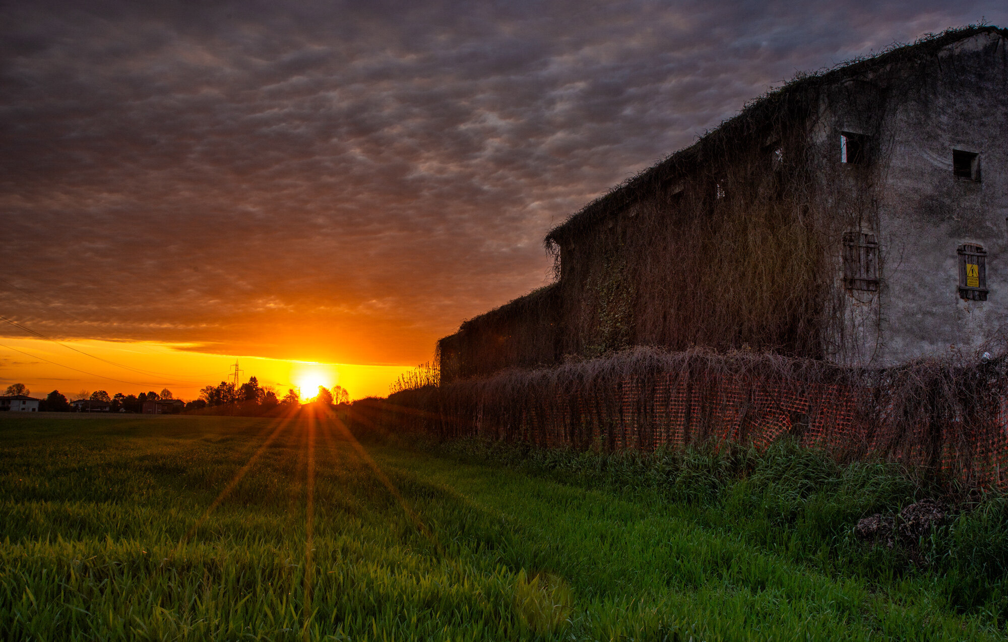 Alba in Campagna