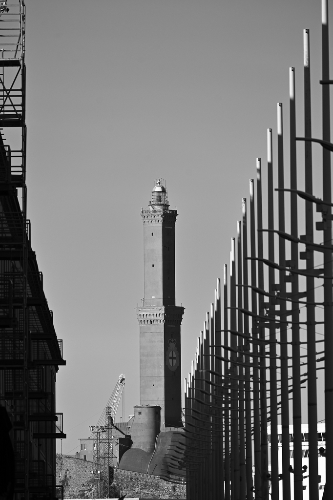 Copia.JPG