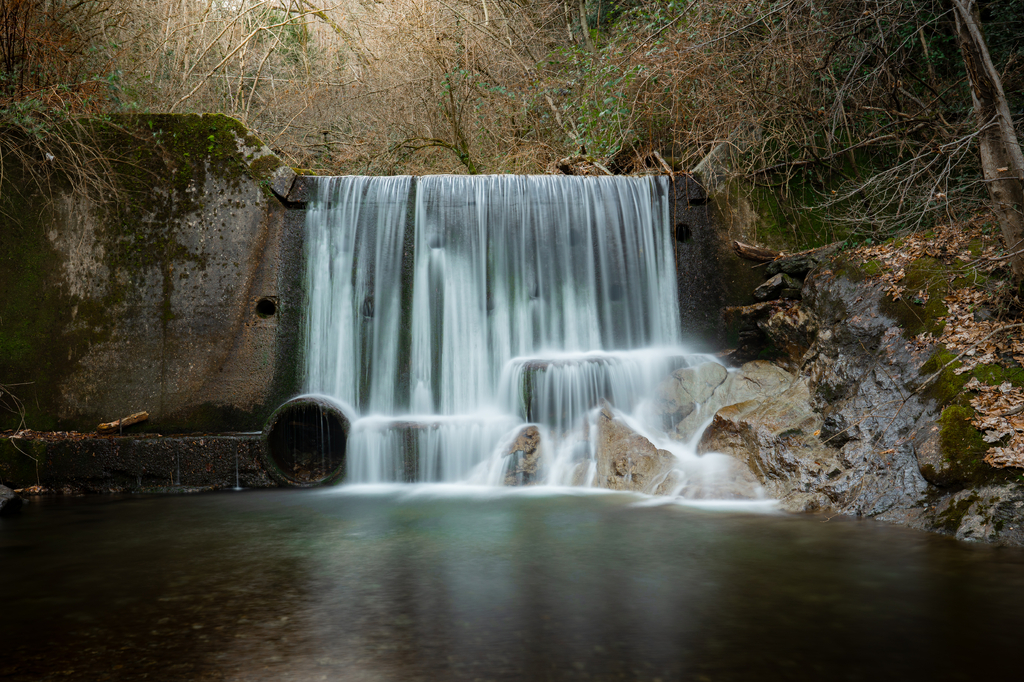 DSC_2015.jpeg