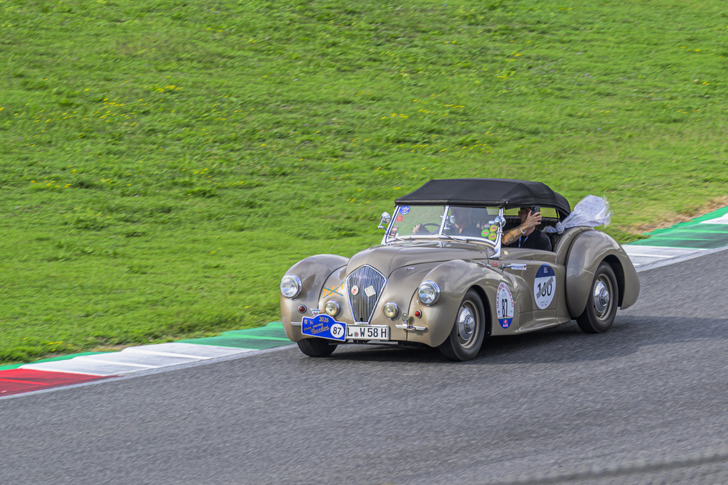 Z8B_8735.JPG