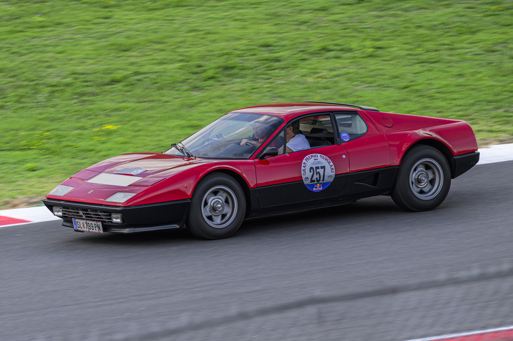Z8B_9496.JPG