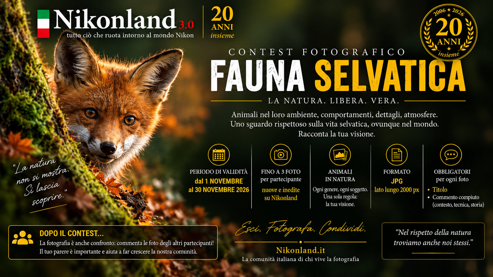 Contest di fauna selvatica, novembre 2026